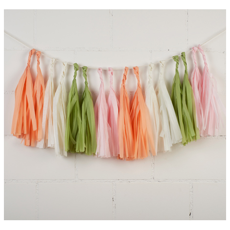 Guirlande de tassels - 1.80m - Sweet macaron