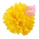 Paper pompom - 25cm - Buttercup