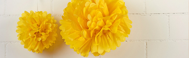 Pompons Pompons
